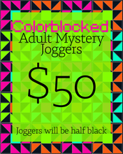 Load image into Gallery viewer, Colorblocked Adult Mystery Joggers