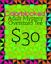 Load image into Gallery viewer, Colorblocked Adult Mystery Oversized Tee
